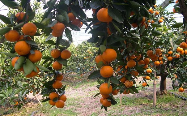 ���Ӷ�����ʲô�ô� ����������Щ�ô�